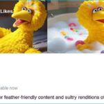 PBS Sesame Street Big Bird's OnlyFans page.