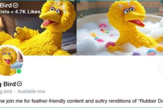 PBS Sesame Street Big Bird's OnlyFans page.