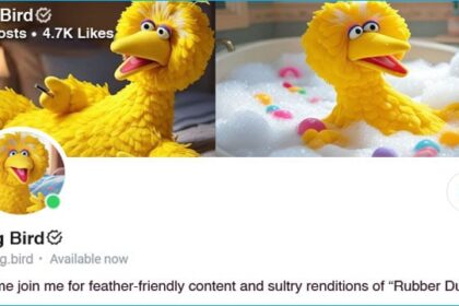 PBS Sesame Street Big Bird's OnlyFans page.