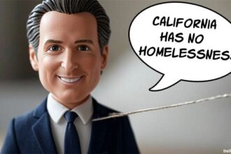 Gavin Newsom toy doll with a string to pull and talk.