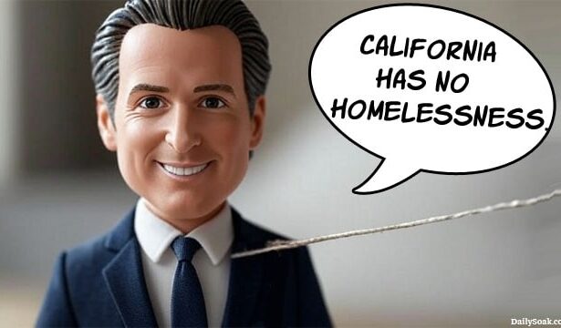Gavin Newsom toy doll with a string to pull and talk.