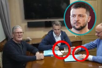 Ukraine President Zelensky watching world leaders Starmer, macron, and Merz having coke party.
