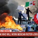 Democrats on Mexicans rioting in LA riots.