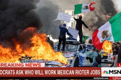 Democrats on Mexicans rioting in LA riots.