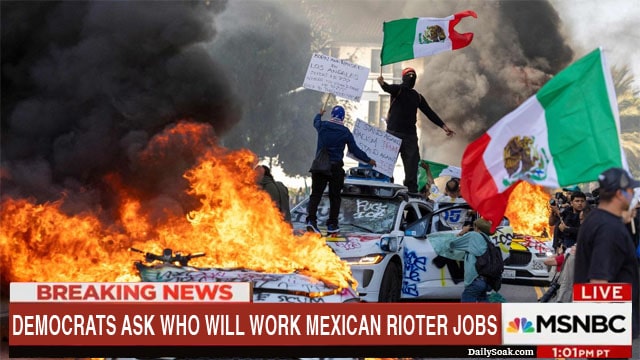 Democrats on Mexicans rioting in LA riots.