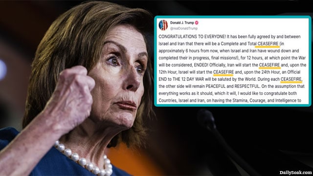 Nancy Pelosi stock portfolio.
