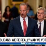 Republicans in Congress on Trump's Big Beautiful Bill.