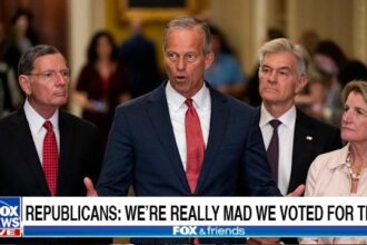 Republicans in Congress on Trump's Big Beautiful Bill.