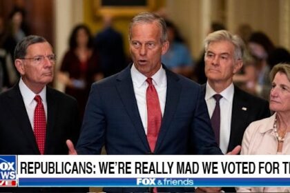 Republicans in Congress on Trump's Big Beautiful Bill.
