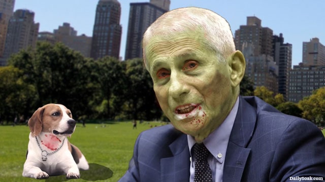 Dr. Fauci in a park next to a beagle dog.