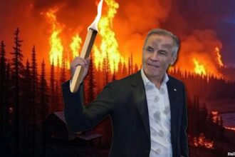 Prime Minister Mark Carney holding a torch starting a wildfire in Canada forest.