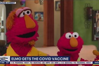 Sesame Street's Elmo getting the COVID vaccine.