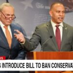 Democrats Hakeem Jeffries and Chuck Schumer on stage in front of a podium in Congress speaking.