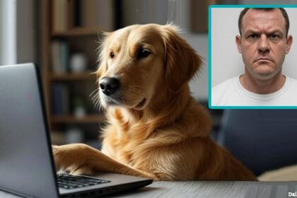UK British man in his home watching his golden retriever dog touching a laptop on desk.