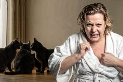 Crazy, liberal white woman standing in a room with numerous black cats.