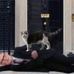 Larry the Cat standing near UK Prime Minister Keir Starmer.