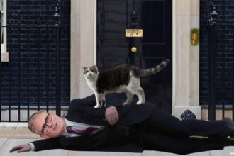 Larry the Cat standing near UK Prime Minister Keir Starmer.