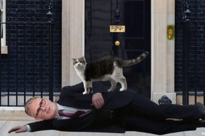 Larry the Cat standing near UK Prime Minister Keir Starmer.