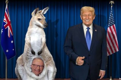 Australian Prime Minister Anthony Albanese inside of a kangaroo pouch standing next to President Donald Trump.