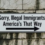 Signs on the outside of Pope Leo's Vatican City wall.
