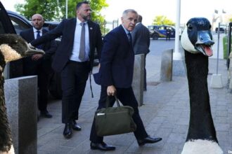 Canada geese standing near prime minister Mark carney in Parliament Hill building.