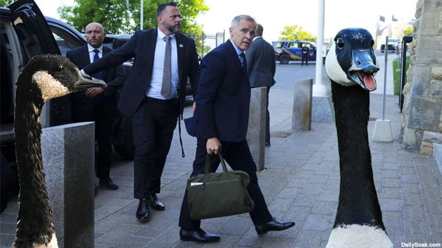 Canada geese standing near prime minister Mark carney in Parliament Hill building.