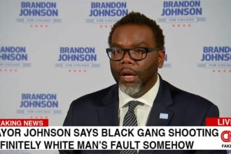 Democrat black Mayor Brandon Johnson on the recent Chicago gang member shootings.