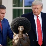 President Donald Trump pardoning a turkey on Thanksgiving at White House.