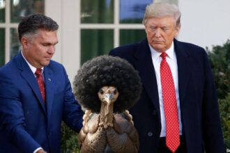 President Donald Trump pardoning a turkey on Thanksgiving at White House.