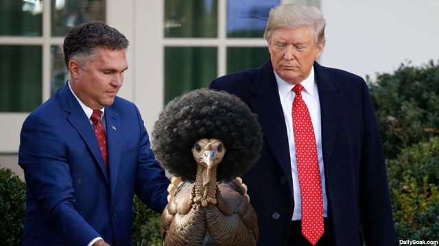 President Donald Trump pardoning a turkey on Thanksgiving at White House.