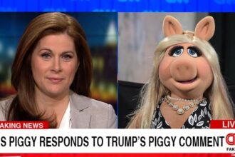 CNN Erin Burnett interviewing Miss Piggy about President Donald Trump's "Piggy" comment.