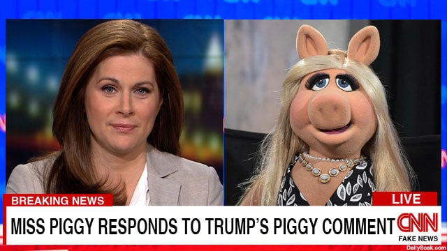 CNN Erin Burnett interviewing Miss Piggy about President Donald Trump's "Piggy" comment.