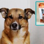 Dog in UK standing near bacon-flavored treats.