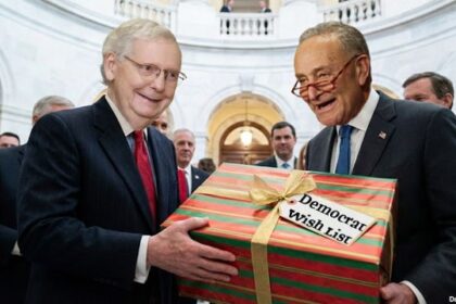 Republicans on stage in Congress giving Democrats a Christmas gift.