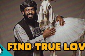 A bearded Afghanistan man holding a white goat.