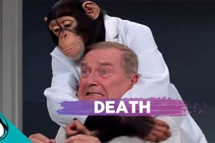 Chimpanzee wearing a white lab coat strangling a man inside of a chiropractor's office.