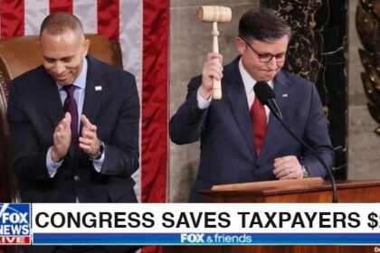 Congress members Mike Johnson and Hakeem Jeffries in House floor voting on DOGE cuts.