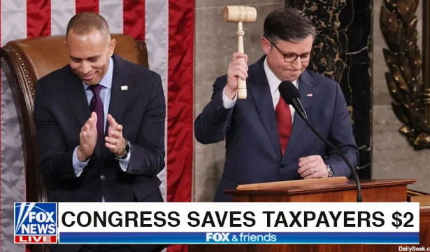 Congress members Mike Johnson and Hakeem Jeffries in House floor voting on DOGE cuts.