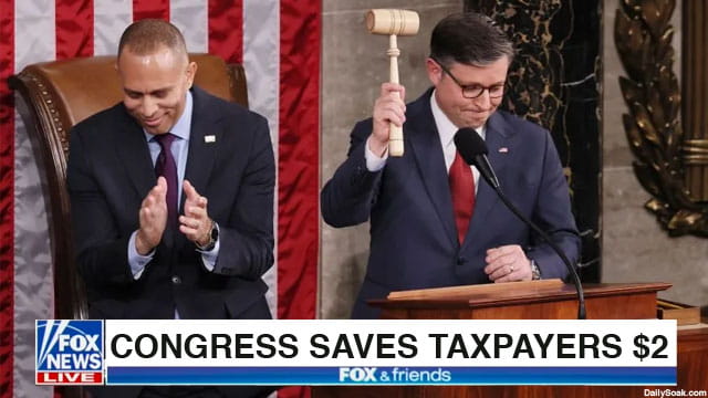 Congress members Mike Johnson and Hakeem Jeffries in House floor voting on DOGE cuts.
