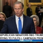 Republicans in the Senate giving a speech at a podium in Congress about President Trump.