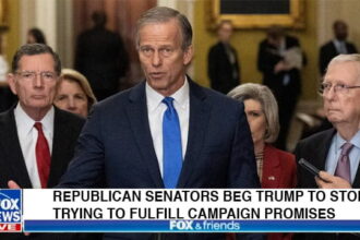 Republicans in the Senate giving a speech at a podium in Congress about President Trump.