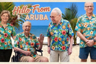 Congress members on a beach.