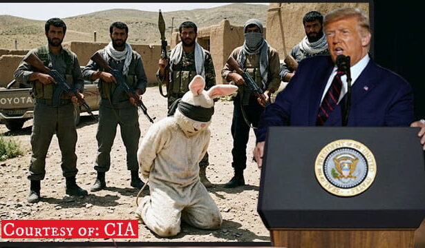 President Donald Trump giving a speech in front of a photo of Iran terrorists and the Easter Bunny.