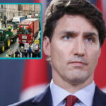 Justin Trudeau standing in front of an image of the Irish trucker protest.