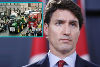 Justin Trudeau standing in front of an image of the Irish trucker protest.