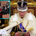 UK King Charles sitting on a throne giving a speech.