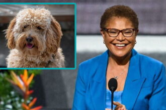 Karen Bass in Los Angeles with an inset of a Labradoodle.