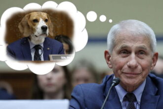 Dr. Fauci testifying in Congress in front of Senator Rand Paul with a beagle dog head.
