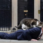 UK Chief Mouser Larry the Cat dragging Prime Minister Keir Starmer out of 10 Downing Street.