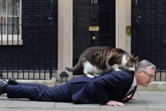 UK Chief Mouser Larry the Cat dragging Prime Minister Keir Starmer out of 10 Downing Street.